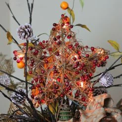 Northlight 13.5" Brown Rattan With Red Berries Star Christmas Tree Topper - Clear Lights -Wreaths & Garland shop ddccr76mi8r5ns2myte08rctrbhujegh 52815.1587645148