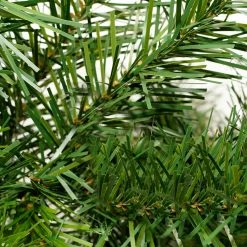 Northlight 9' X 14" Cashmere Mixed Pine Artificial Christmas Garland - Unlit 5 Northlight 9' X 14" Cashmere Mixed Pine Artificial Christmas Garland - Unlit -Wreaths & Garland shop fosdeacgqrxwfsgwfvvonfi9mxs4rbrc 38383.1595941777