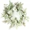 Melrose Green And White Hydrangea Glittered Berry Artificial Christmas Wreath - 24-Inch, Unlit