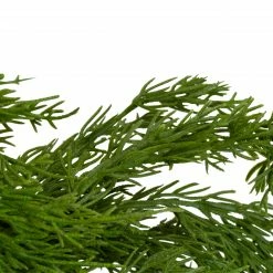Northlight 24" Soft Green Cedar Artificial Christmas Wreath With Pine Cones - Unlit -Wreaths & Garland shop northlight jy88055 2 91714.1605666734