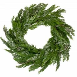 Northlight 24" Iced Cedar Artificial Christmas Wreath - Unlit