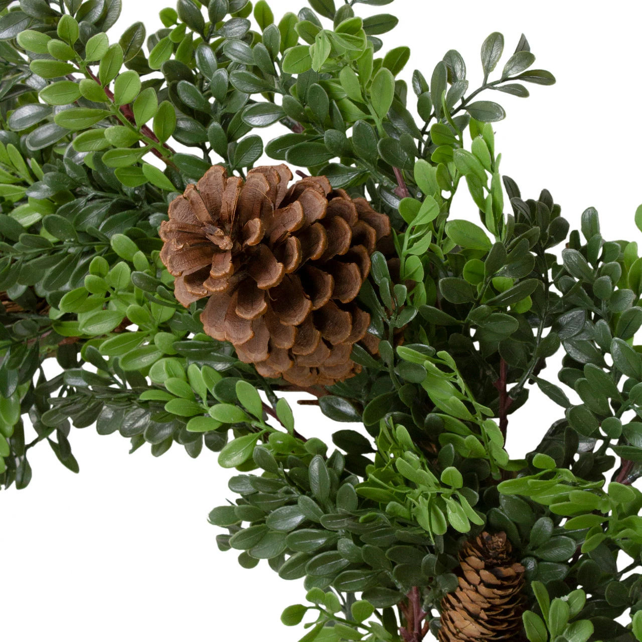 Northlight 27"Artificial Boxwood And Pine Cone Christmas Wreath-Unlit 3 Northlight 27"Artificial Boxwood And Pine Cone Christmas Wreath-Unlit - Image 3