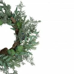 Northlight Frosted Green Mixed Foliage And Blueberries Artificial Christmas Wreath, 26-Inch, Unlit -Wreaths & Garland shop northlight ll89770 2 39498.1638546376