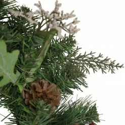 Northlight Decorated Natural Pine And Berry Artificial Christmas Wreath, 24-Inch, Unlit -Wreaths & Garland shop northlight s92646 3 updated 71597.1660325876