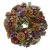 Northlight Iced Pine Cones With Berries Artificial Christmas Wreath, 10-Inch, Unlit