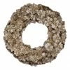 Northlight Gold Glitter Pine Cone Artificial Christmas Wreath, 12-Inch