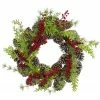Northlight Frosted Pine Cones And Berries Artificial Christmas Wreath - 18-Inch, Unlit