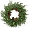 Northlight Pinecones And Blueberries Artificial Christmas Wreath, 28-Inch, Unlit