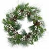 Northlight Glittered White Berry And Pinecone Artificial Christmas Wreath, 30-Inch, Unlit