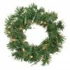 Northlight Pre-Lit Deluxe Windsor Pine Artificial Christmas Wreath - 10-Inch, Clear Lights