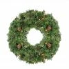 Northlight Pre-Lit Dakota Pine Artificial Christmas Wreath - 24-Inch, Clear Lights