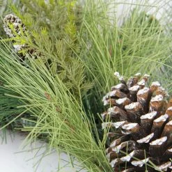 Alternative view of Northlight Mixed Long Needle Pine And Pine Cone Artificial Christmas Wreath - 28-Inch, Unlit